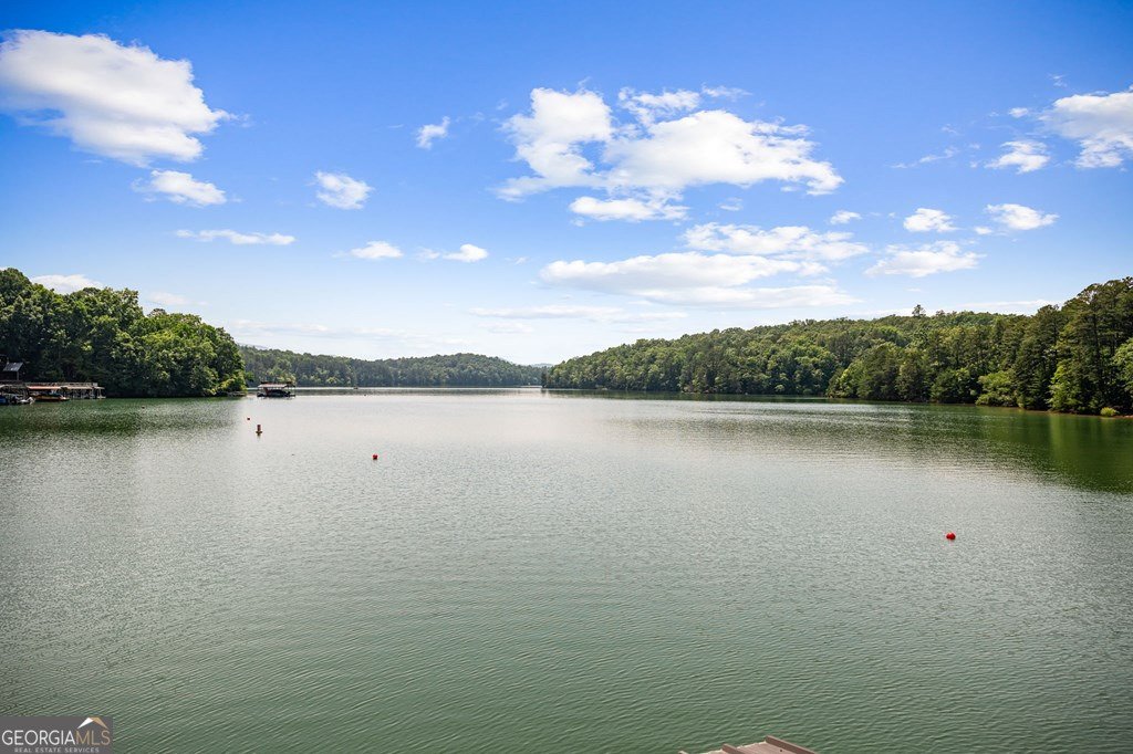 128 Overlake Court Morganton - 58