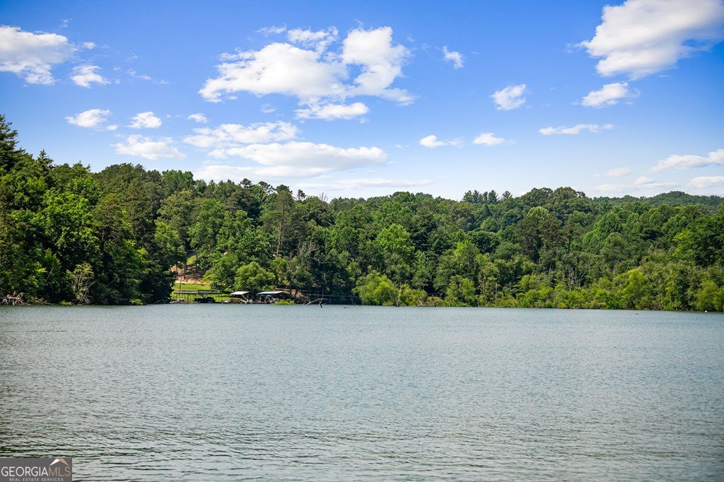 128 Overlake Court Morganton - 95