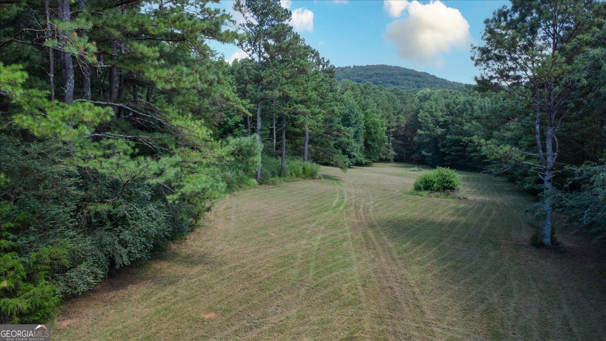 4365 Cave Spring Road Rome - 47