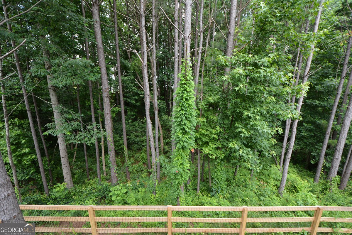 302 Aspen Valley Lane Dallas - 61