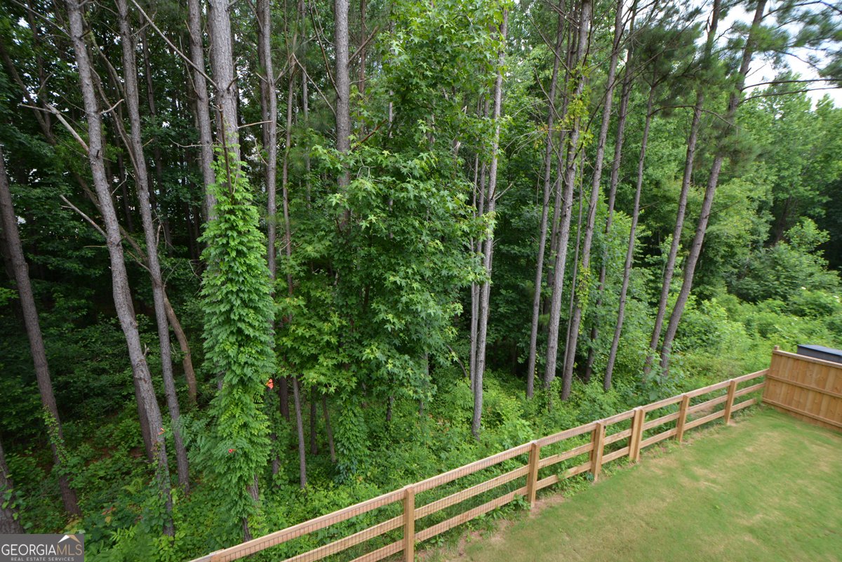 302 Aspen Valley Lane Dallas - 62