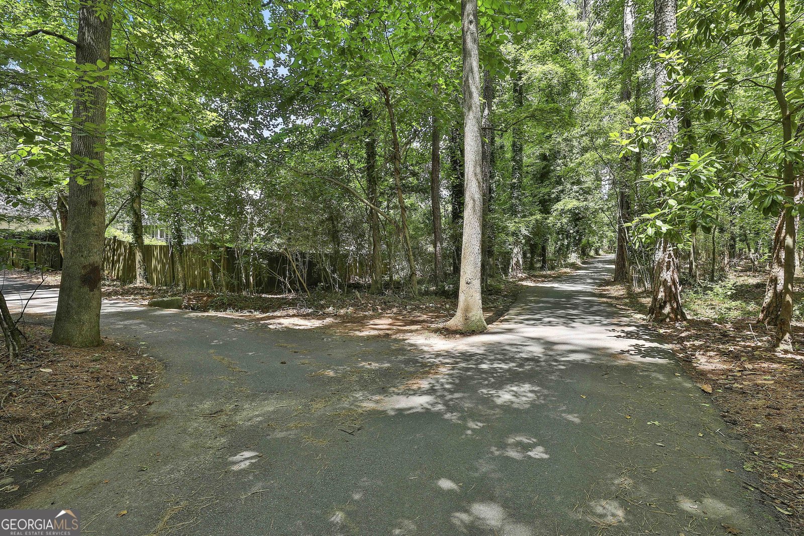 205 Shadowood Lane Peachtree City - 49