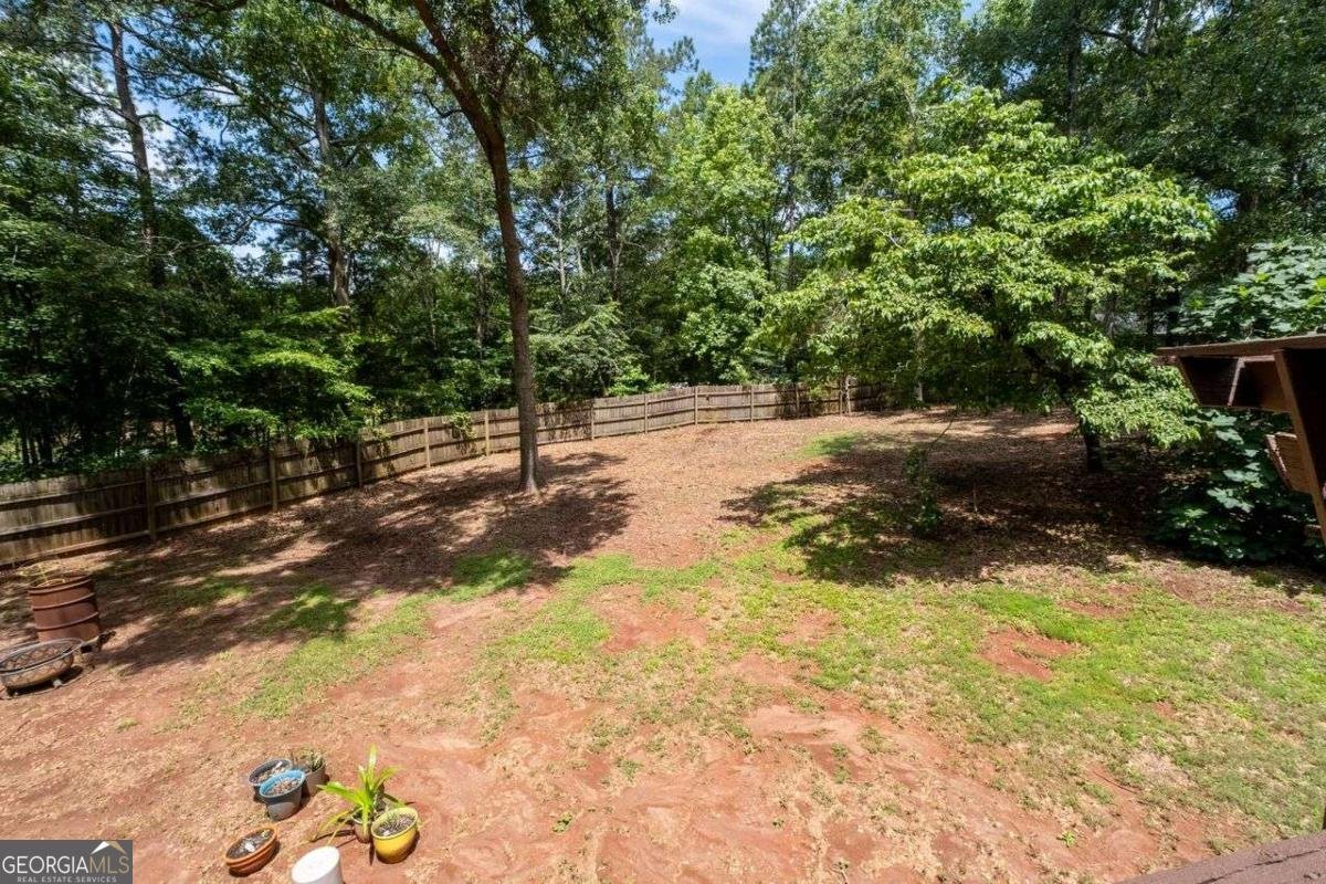 42 PIEDMONT Drive Senoia - 36