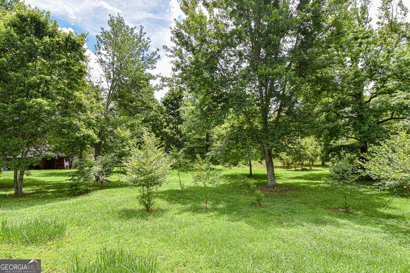 12100 Ga Highway 109 Meansville - 14