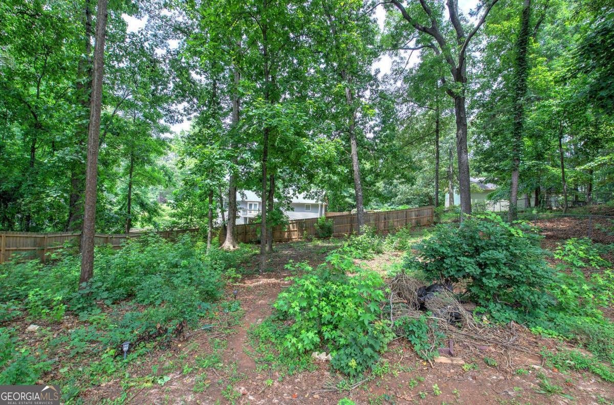 121 Paradise Circle Douglasville - 34
