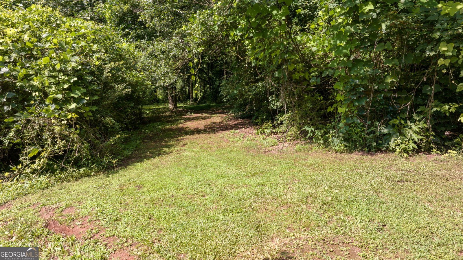 111 Park Street Maysville - 37