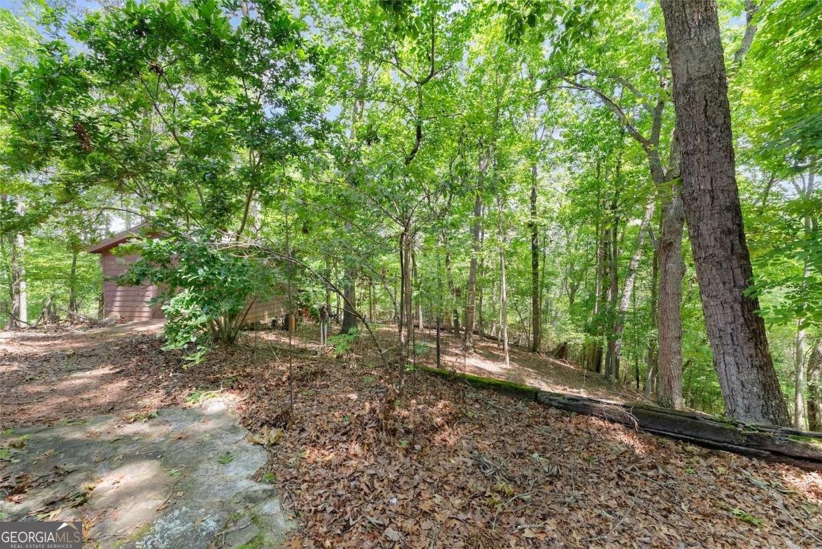 147 River Ridge Road Dahlonega - 32