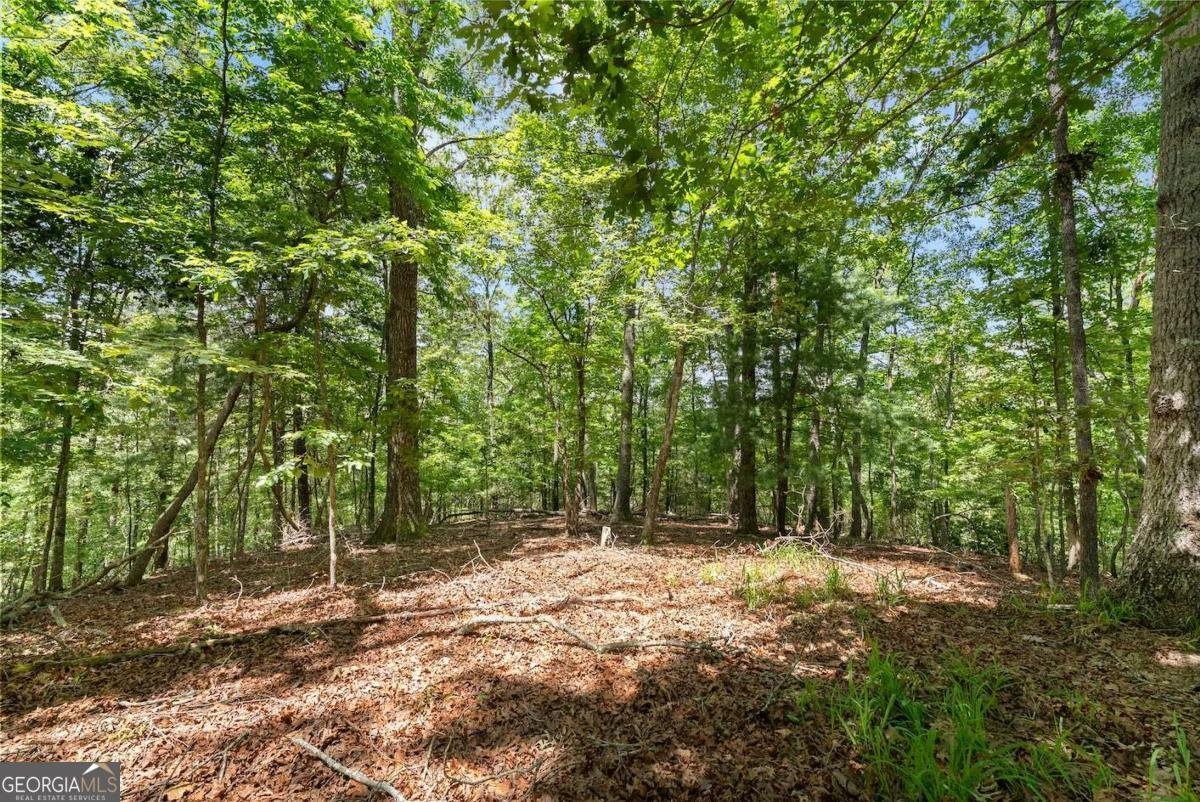 147 River Ridge Road Dahlonega - 33