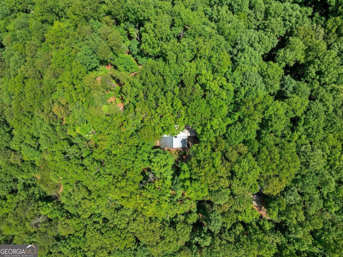147 River Ridge Road Dahlonega - 38