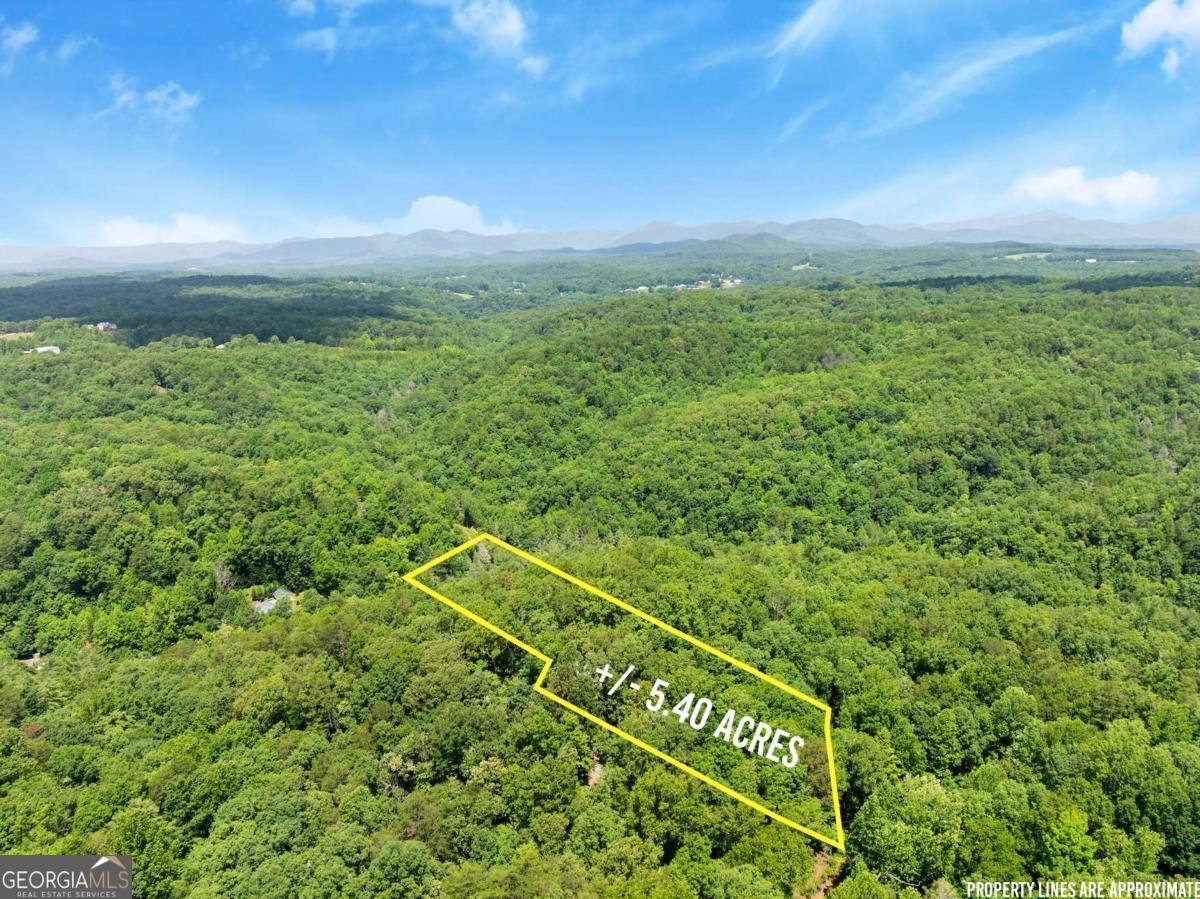 147 River Ridge Road Dahlonega - 41