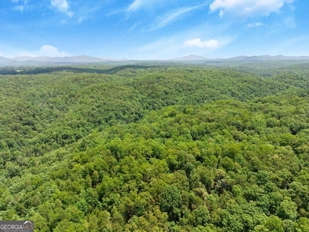 147 River Ridge Road Dahlonega - 42