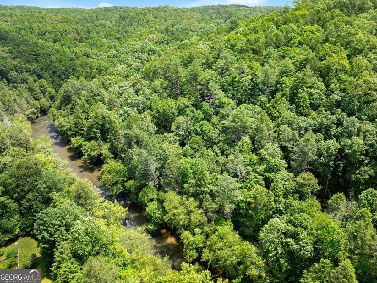 147 River Ridge Road Dahlonega - 45