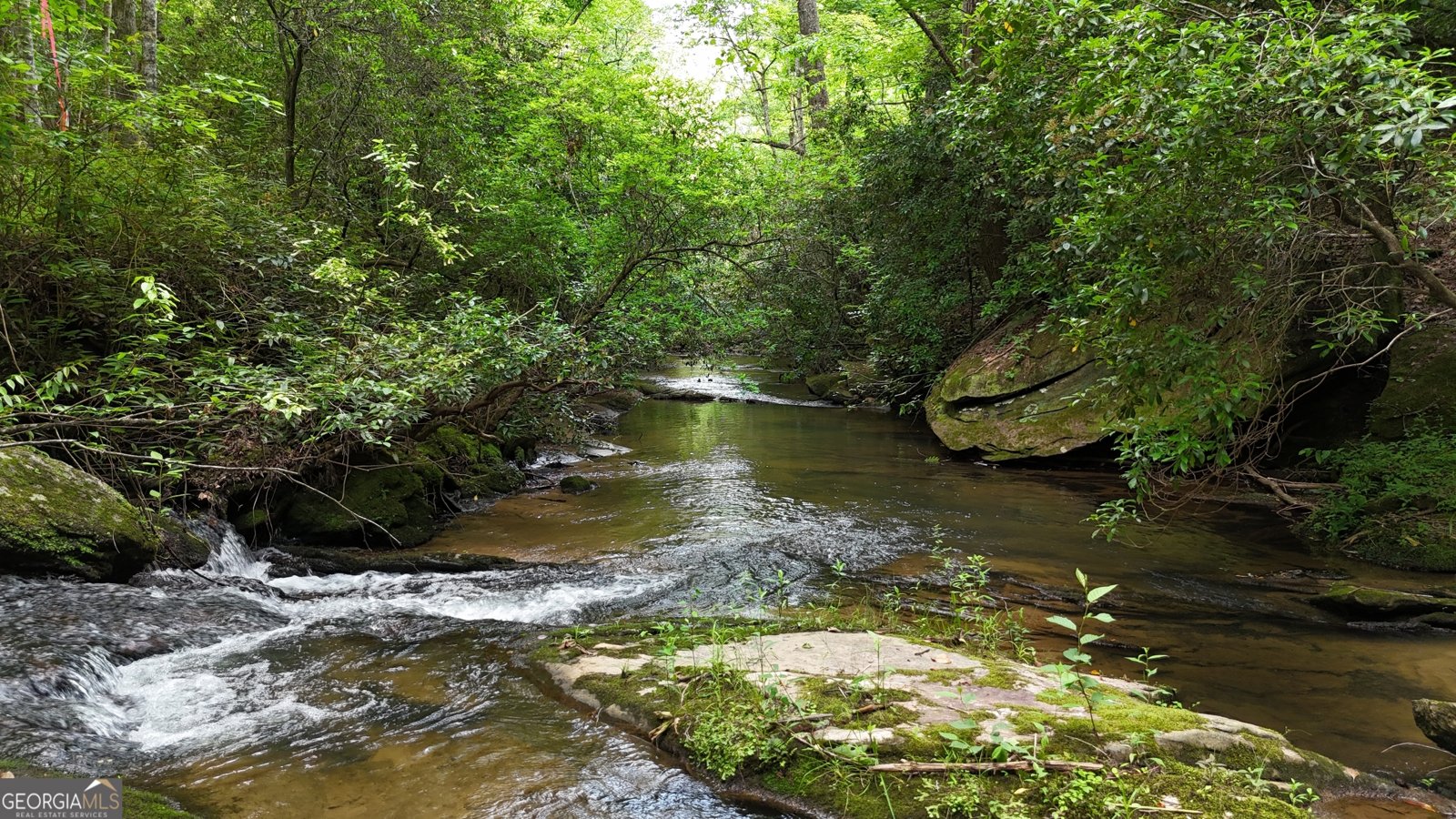 627 Mill Run Road Sautee Nacoochee - 3