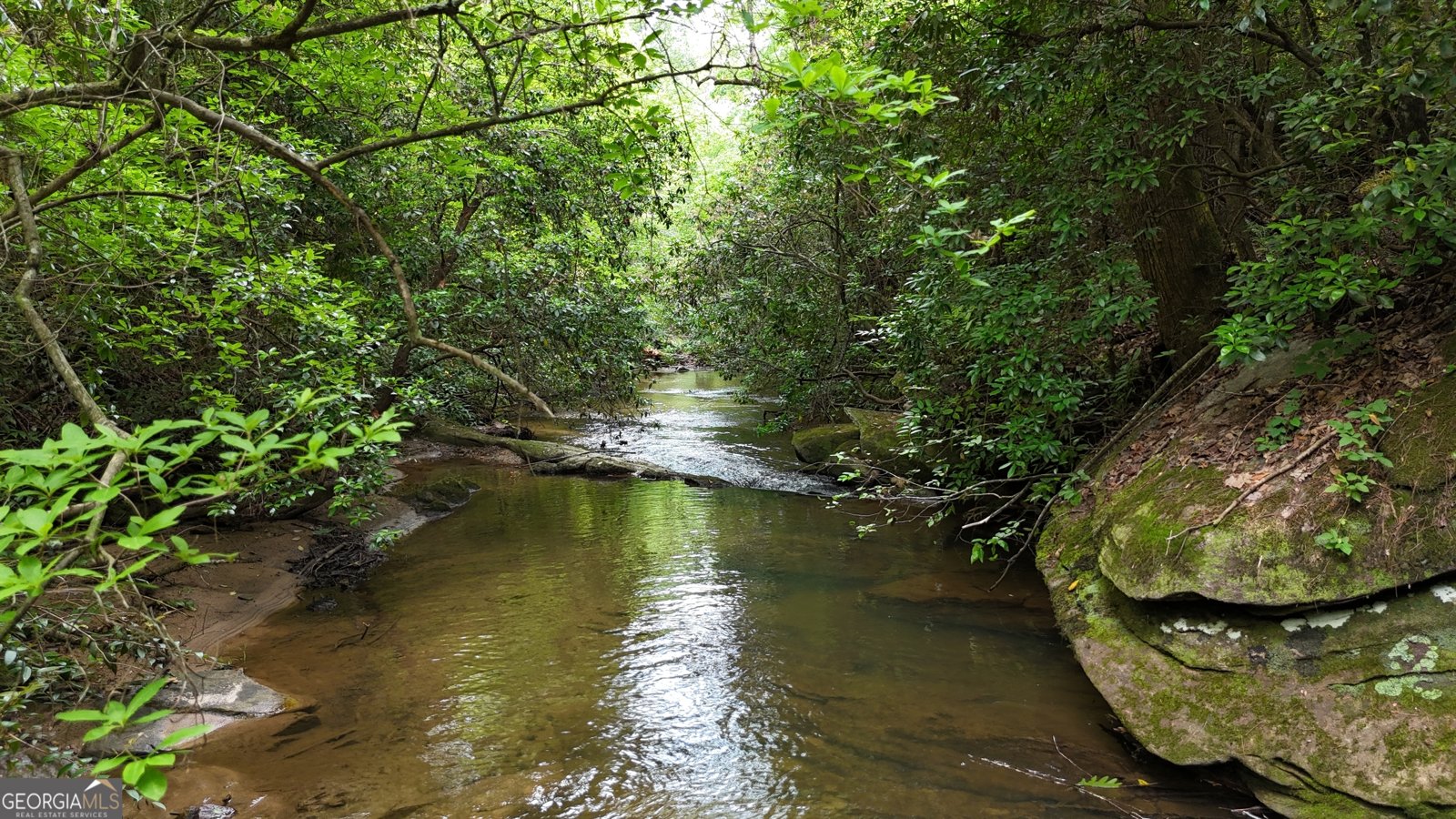 627 Mill Run Road Sautee Nacoochee - 39