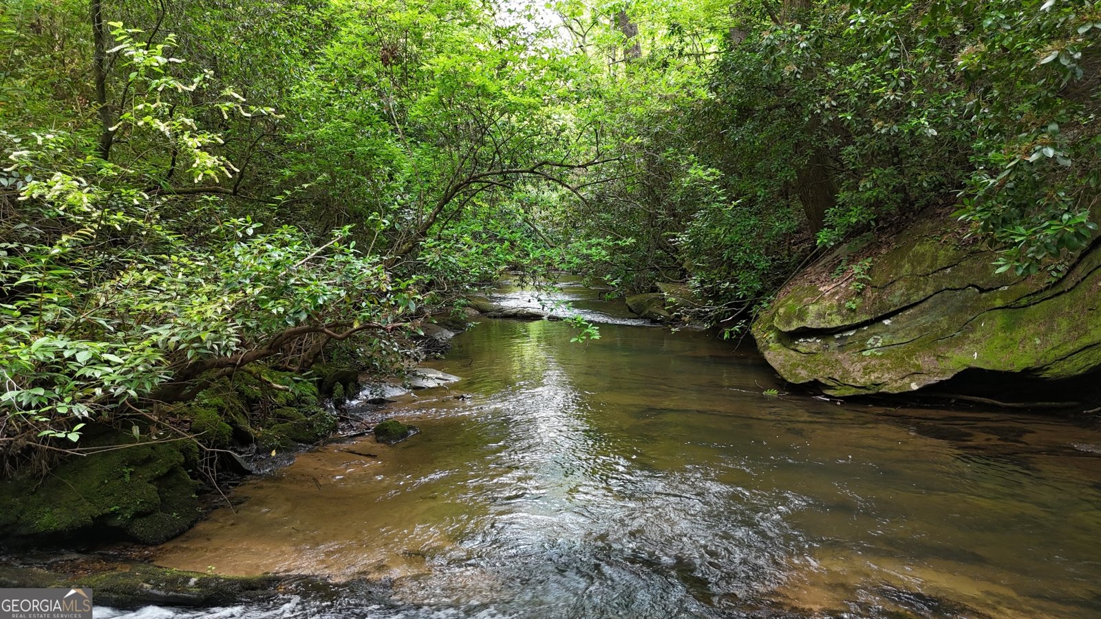 627 Mill Run Road Sautee Nacoochee - 40