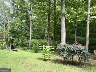 283 Leisure Acres Drive Cleveland - 21