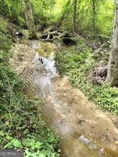 283 Leisure Acres Drive Cleveland - 22