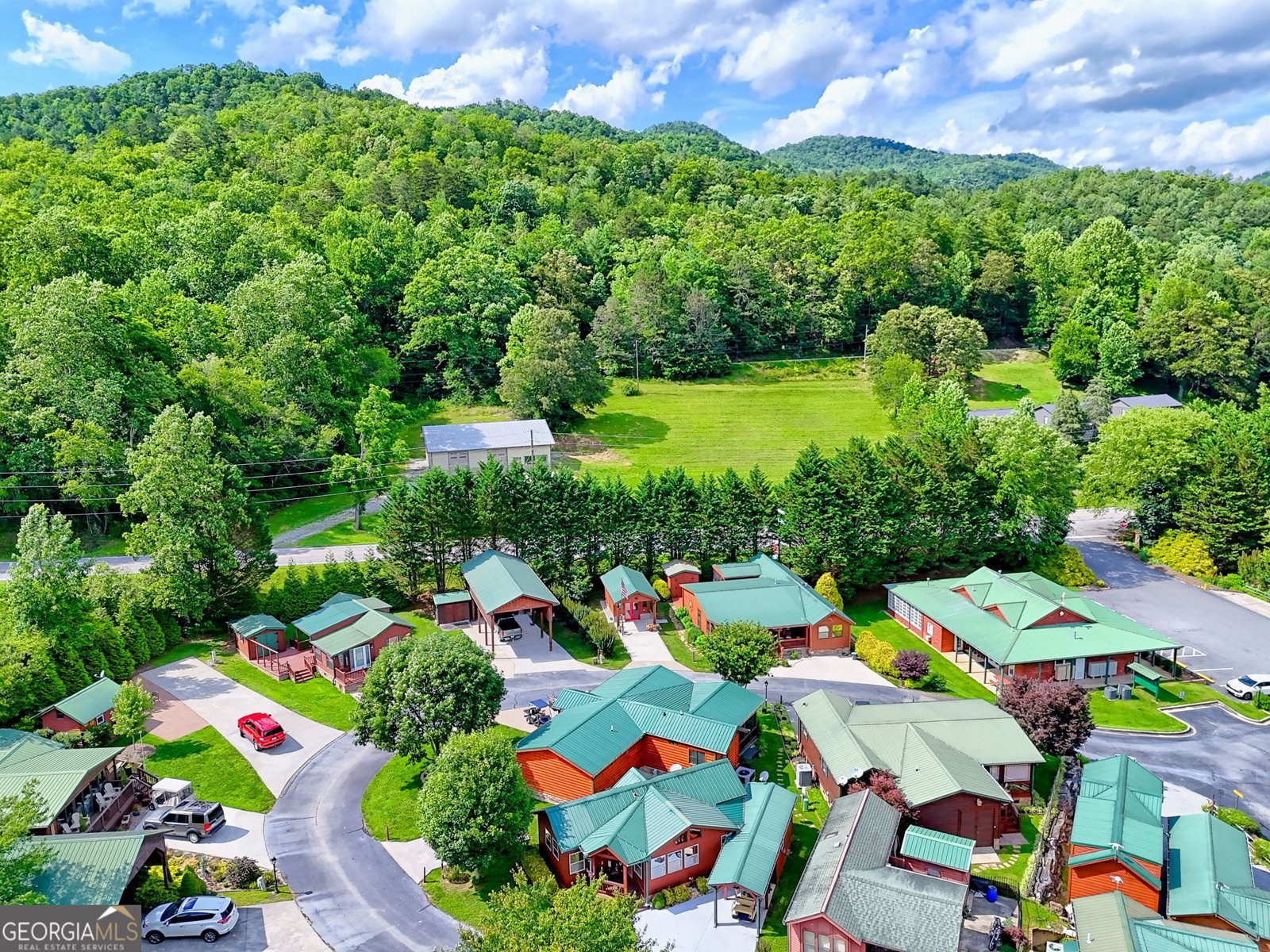 77 Falls View Drive Dillard - 35