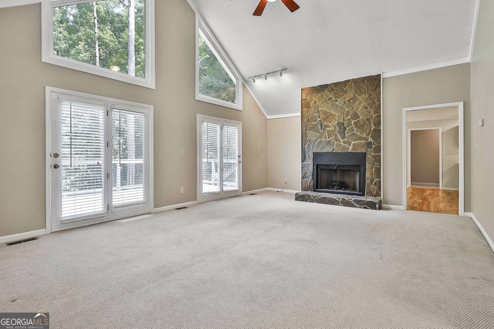 118 Whitfield Run Peachtree City - 23