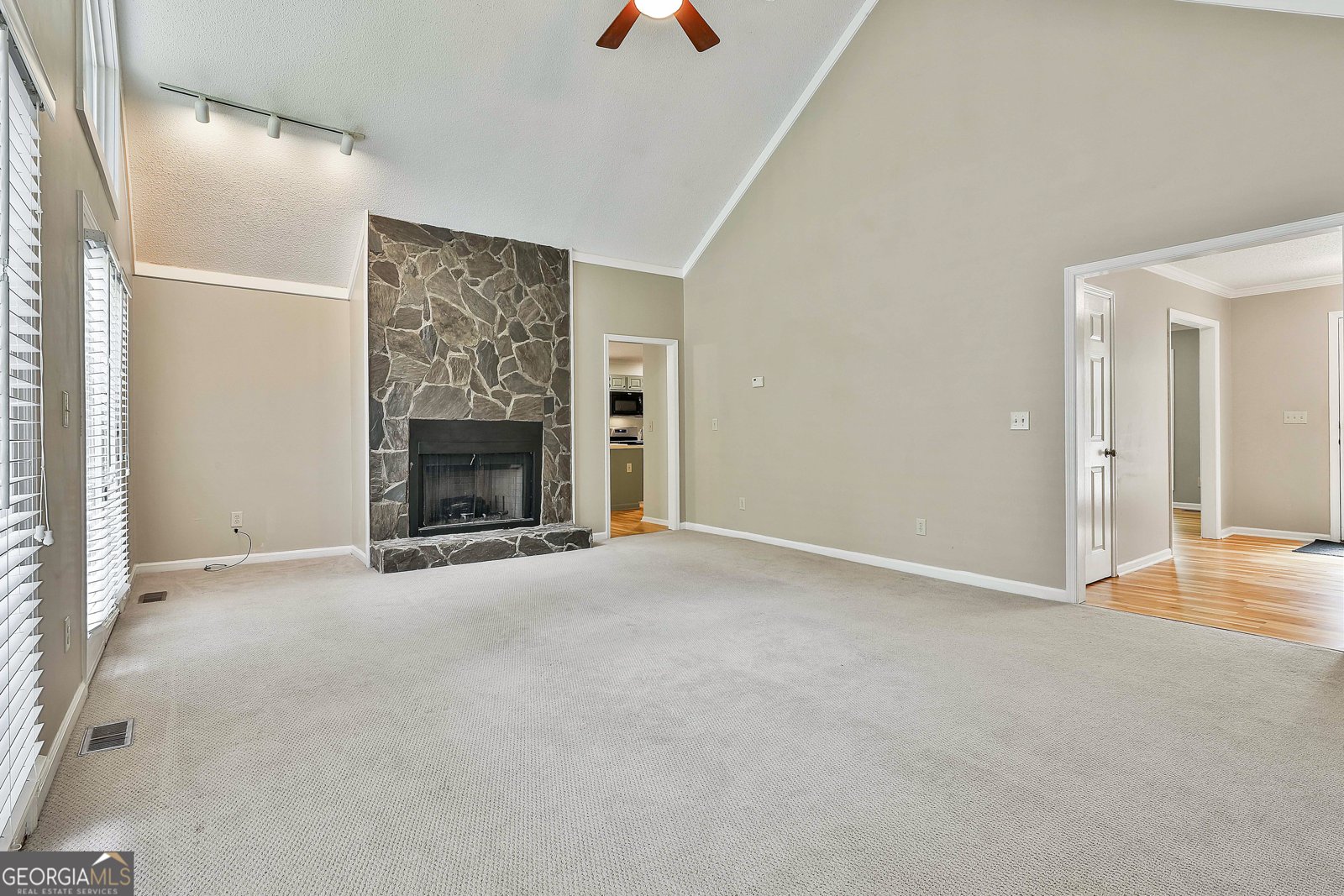 118 Whitfield Run Peachtree City - 24