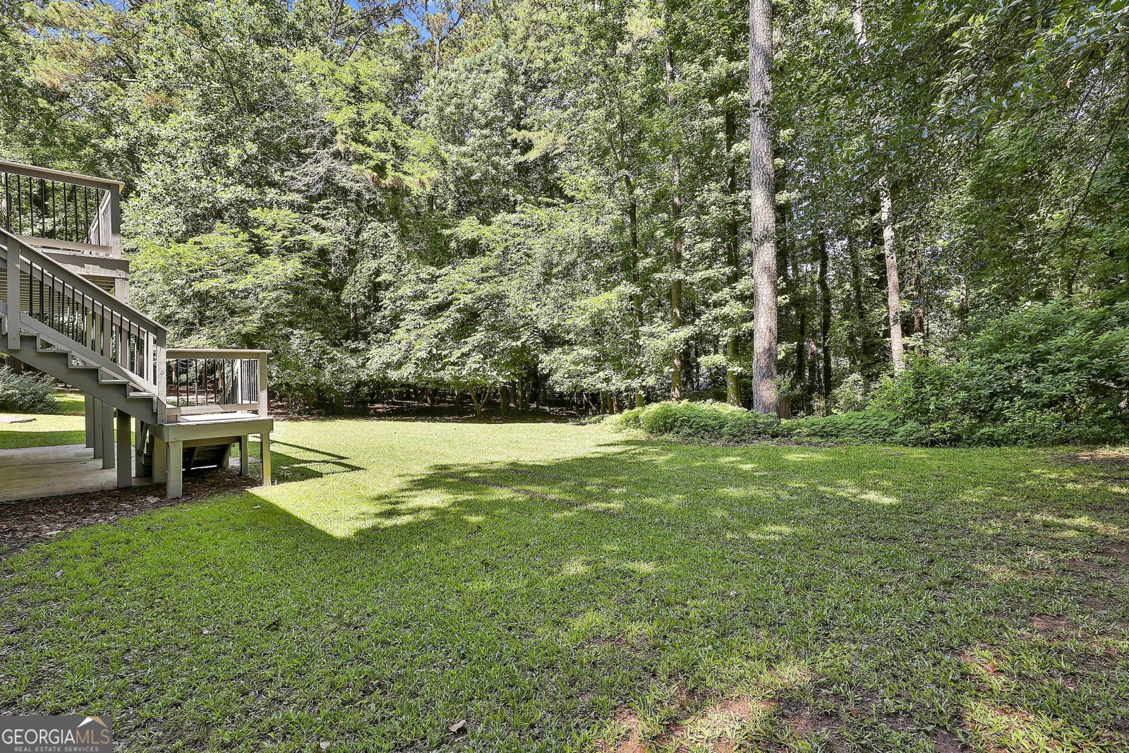 118 Whitfield Run Peachtree City - 3