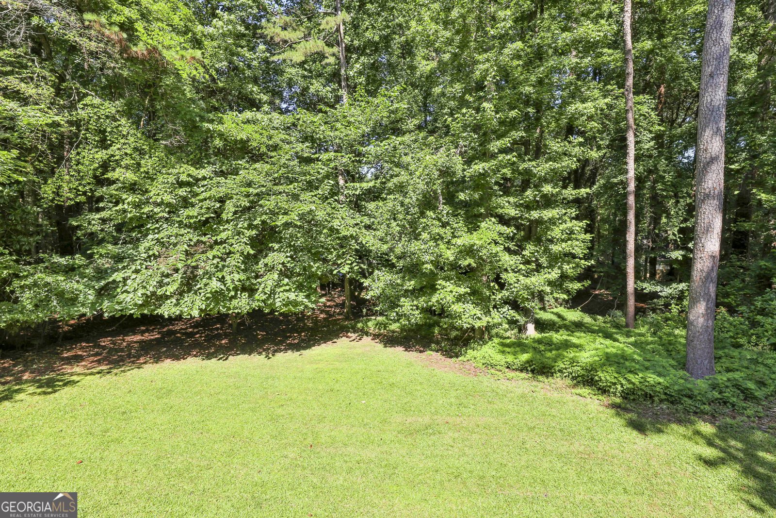 118 Whitfield Run Peachtree City - 40
