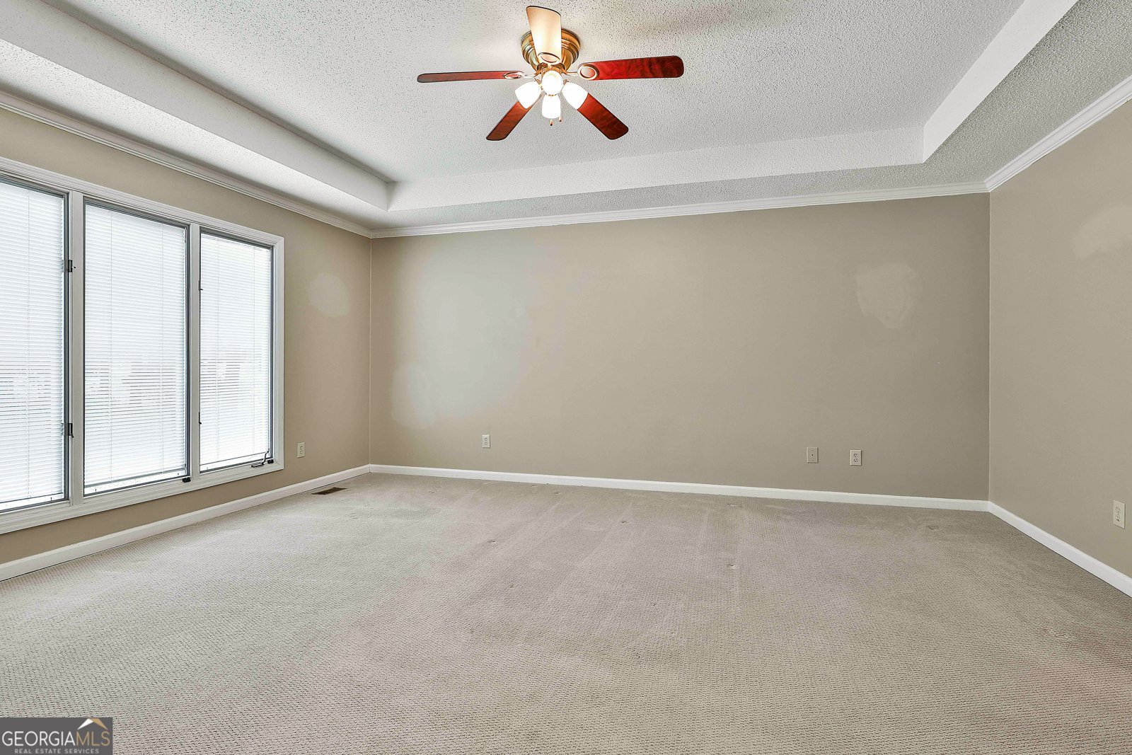 118 Whitfield Run Peachtree City - 9