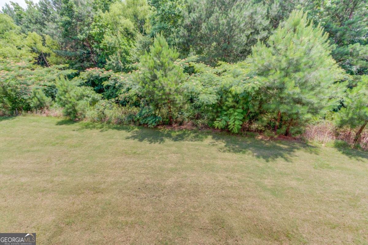 2005 Hamilton Creek Parkway Dacula - 6