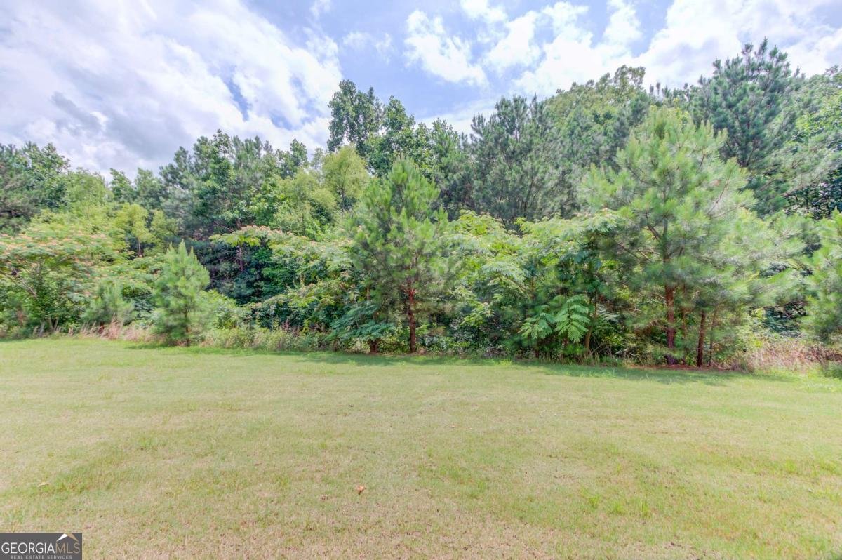 2005 Hamilton Creek Parkway Dacula - 8