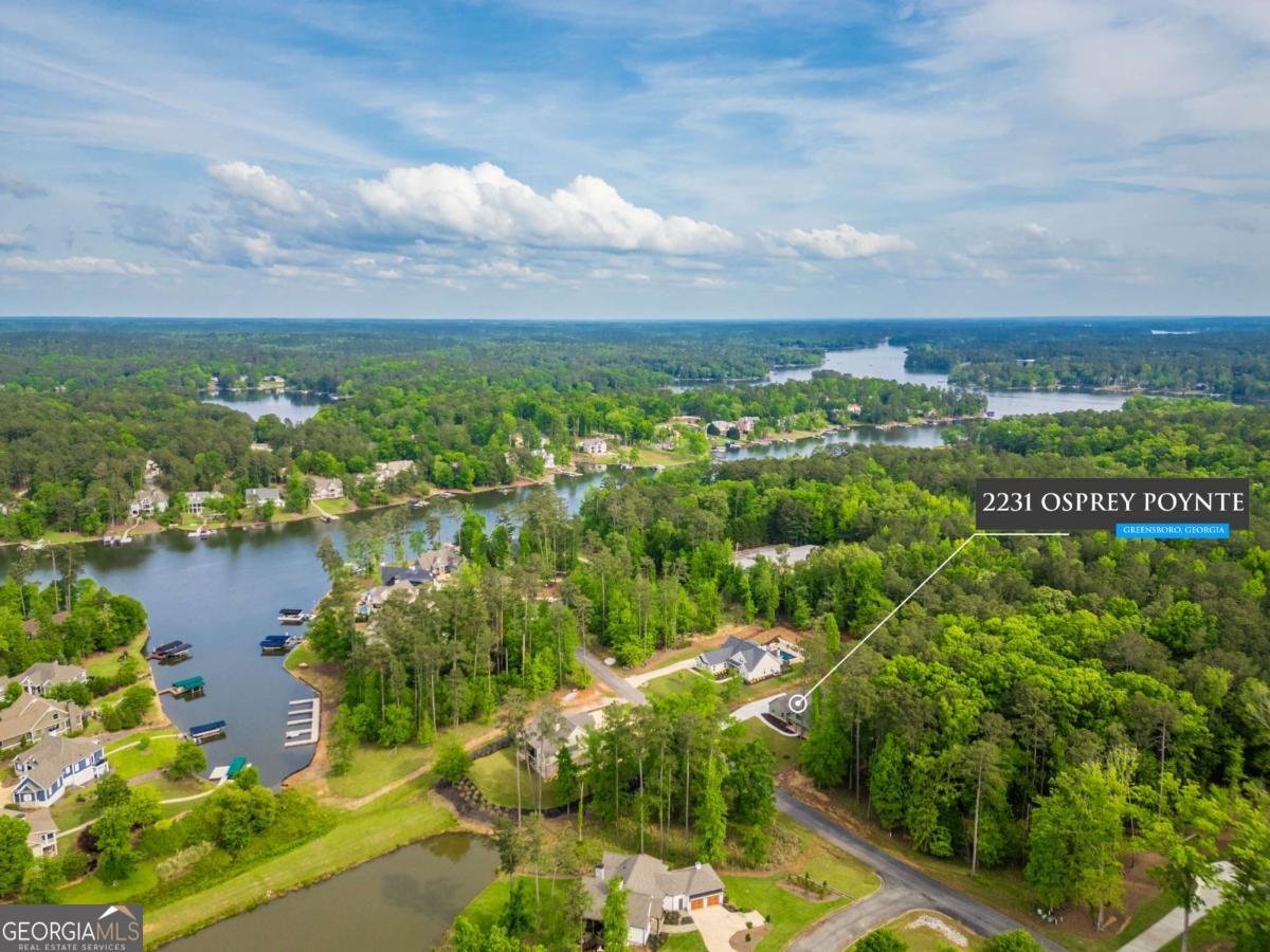 2231 Osprey Poynte Greensboro - 2