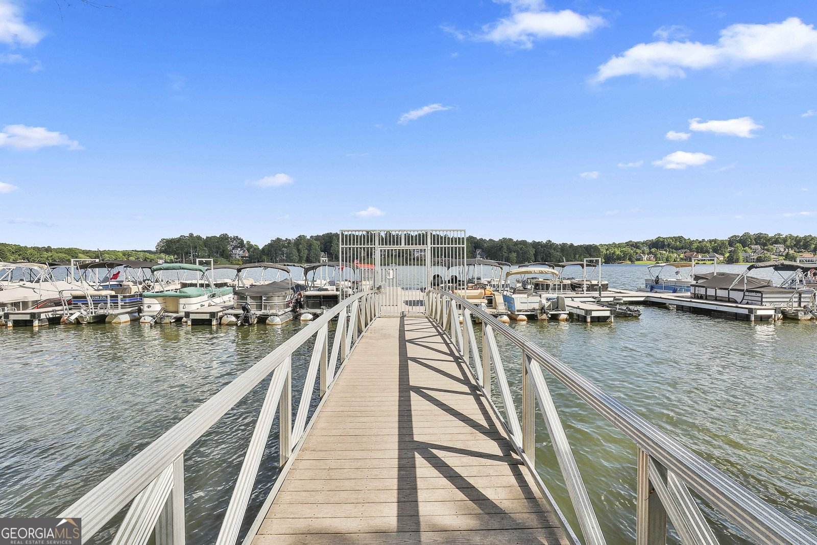 459 Cove Drive Newnan - 22