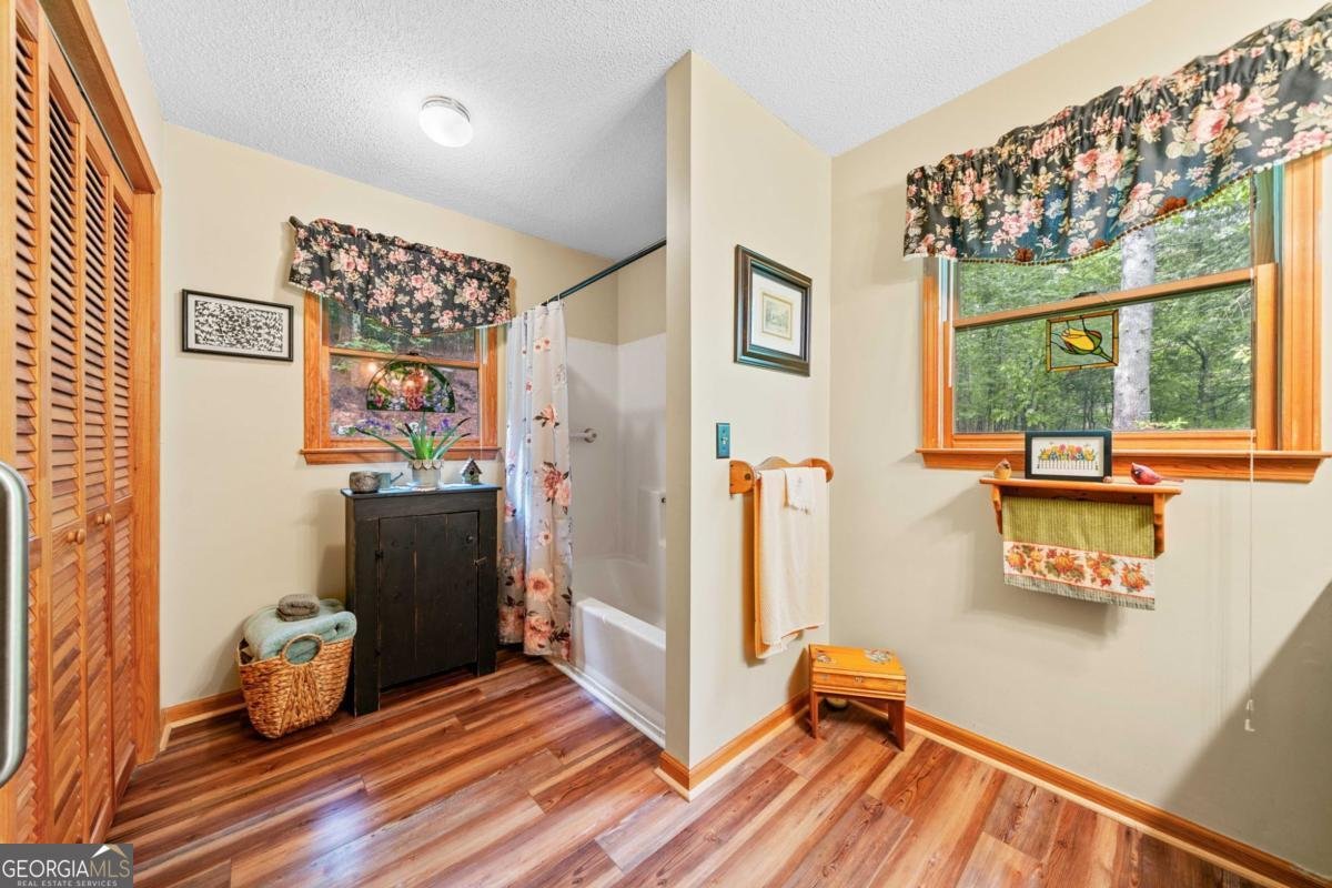 168 Spring Lake Drive Ellijay - 18