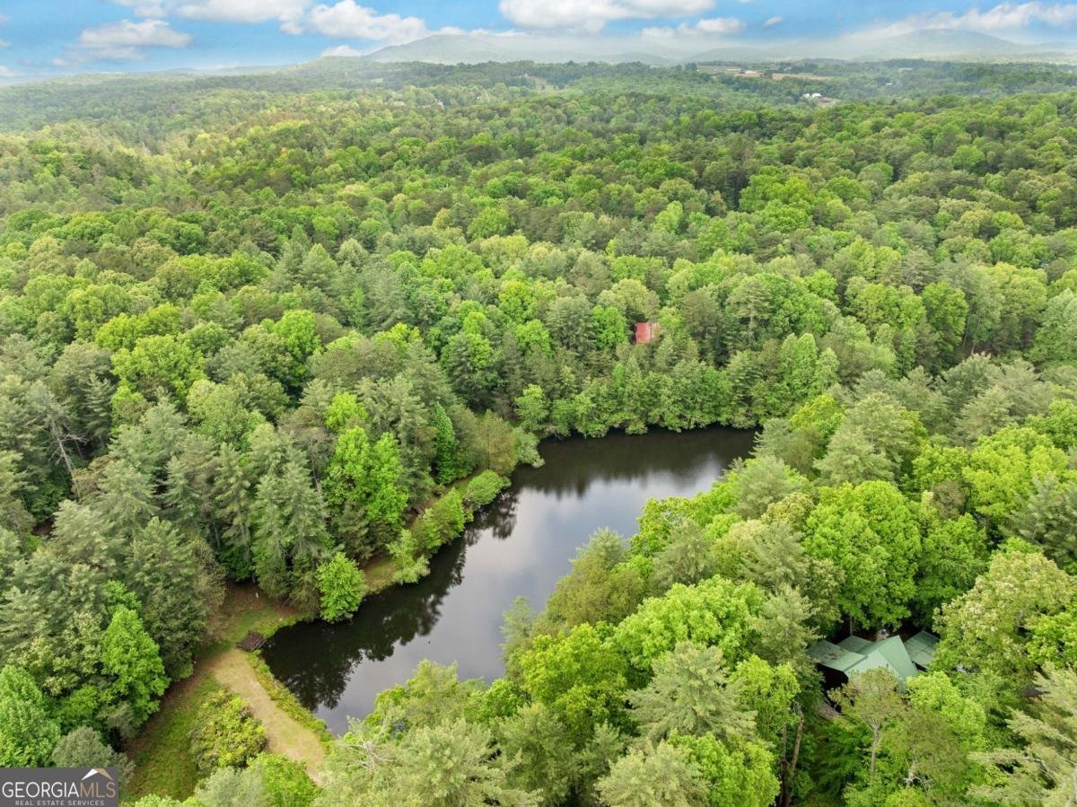 168 Spring Lake Drive Ellijay - 2