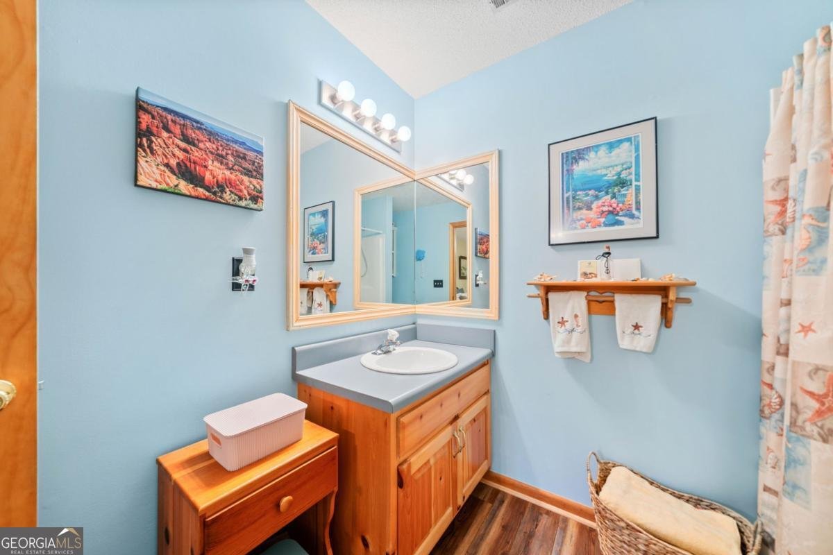 168 Spring Lake Drive Ellijay - 29