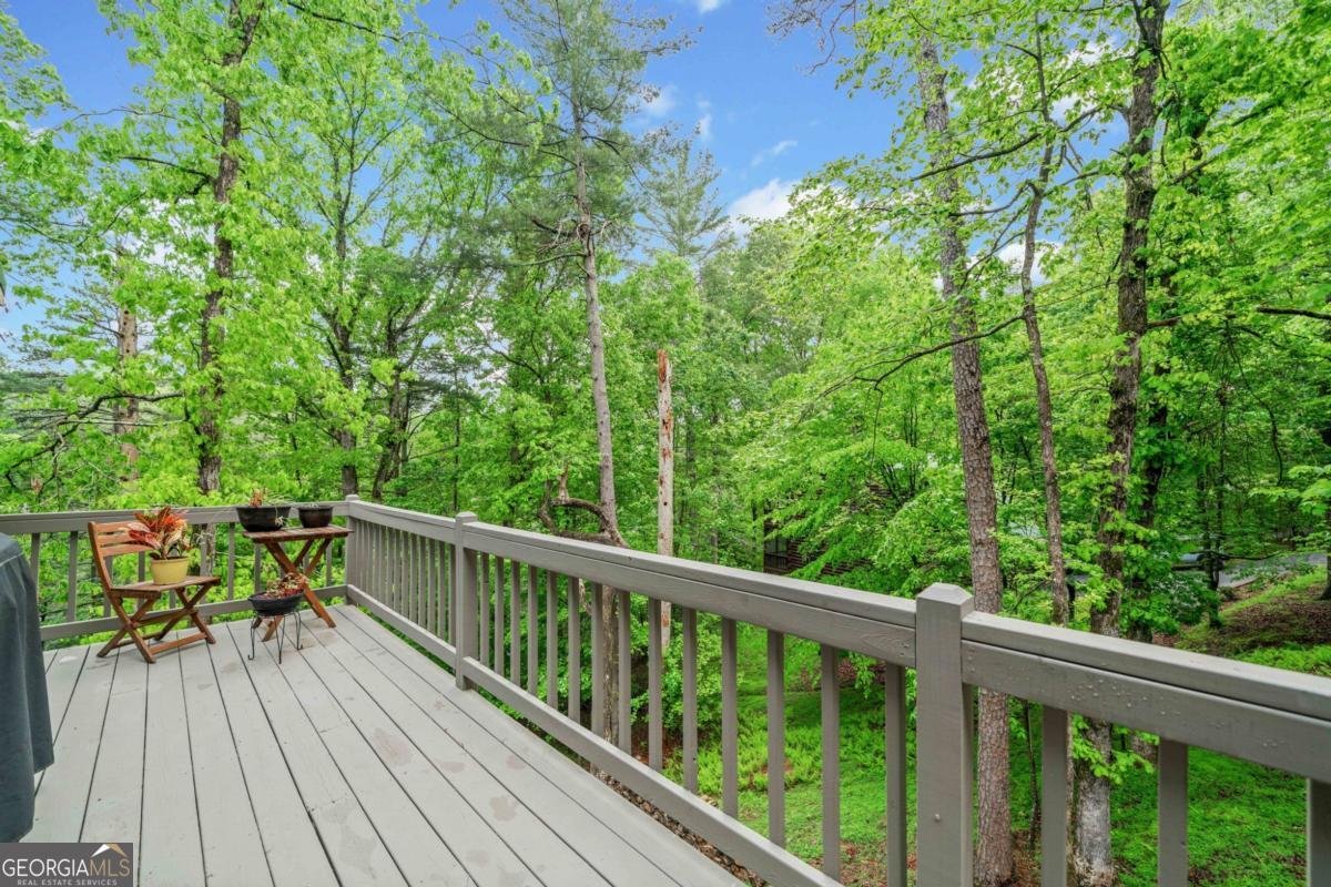 168 Spring Lake Drive Ellijay - 3