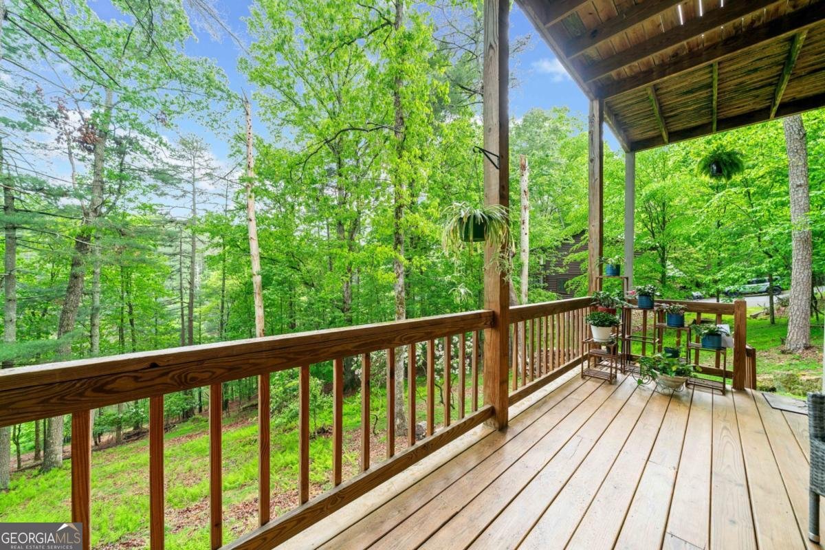 168 Spring Lake Drive Ellijay - 33
