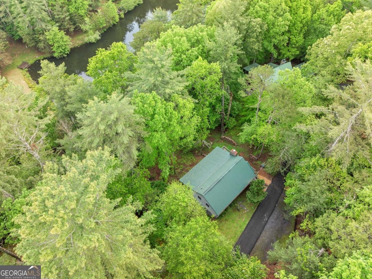 168 Spring Lake Drive Ellijay - 37