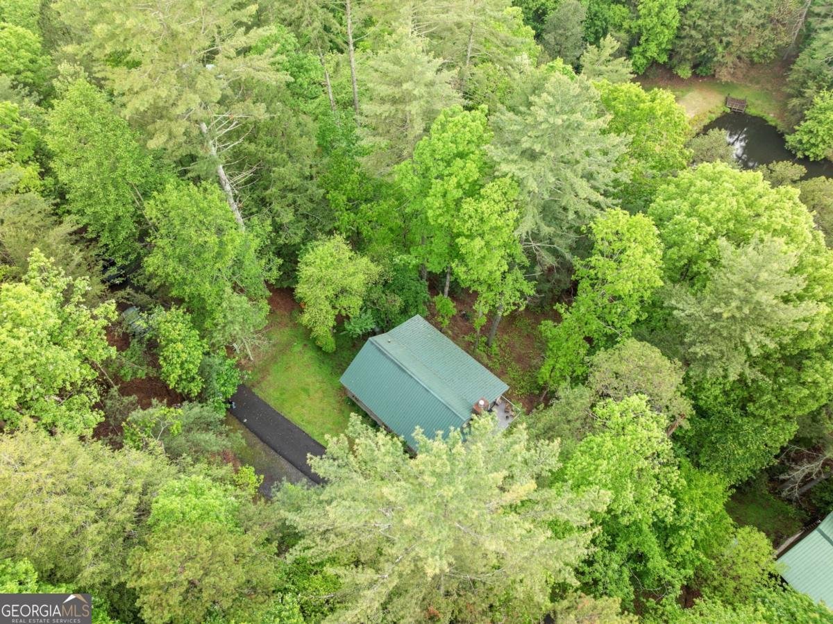 168 Spring Lake Drive Ellijay - 38