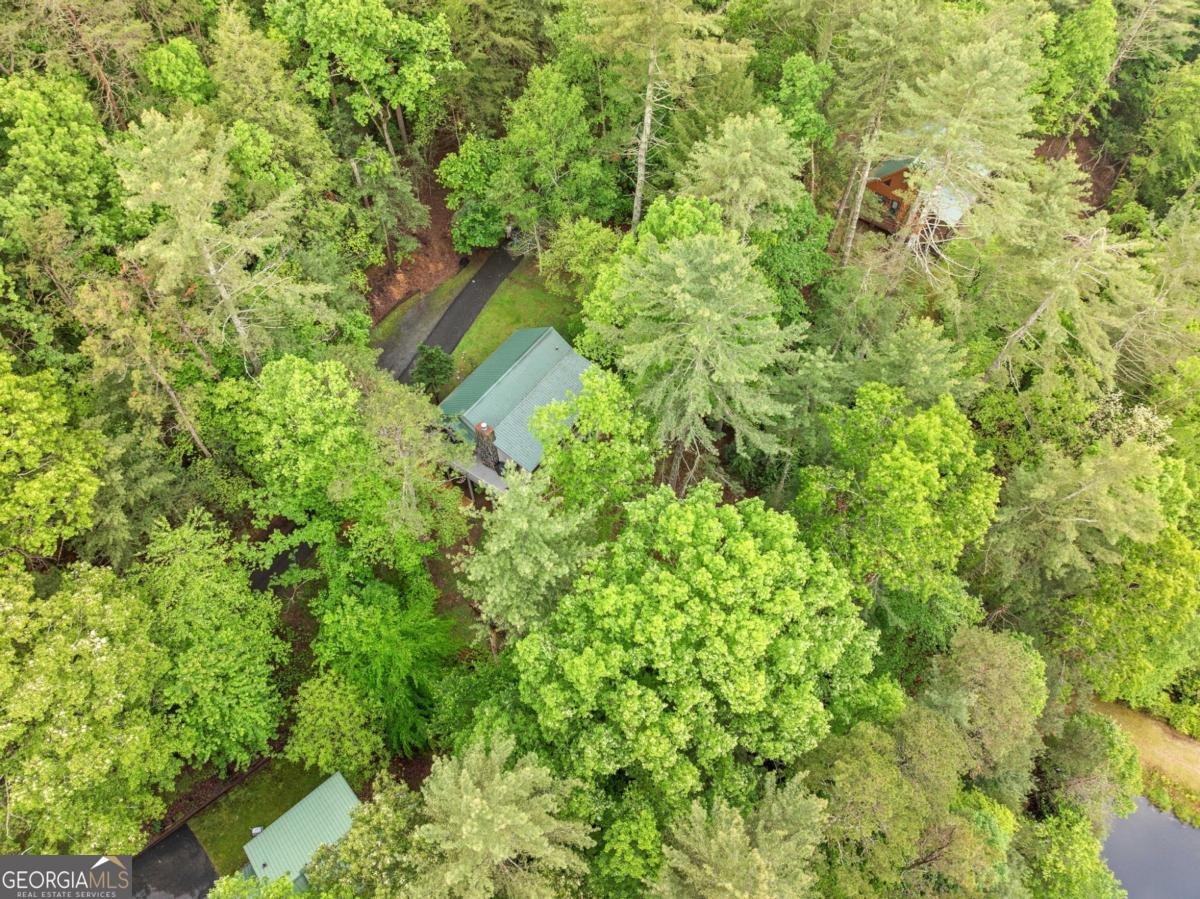 168 Spring Lake Drive Ellijay - 39