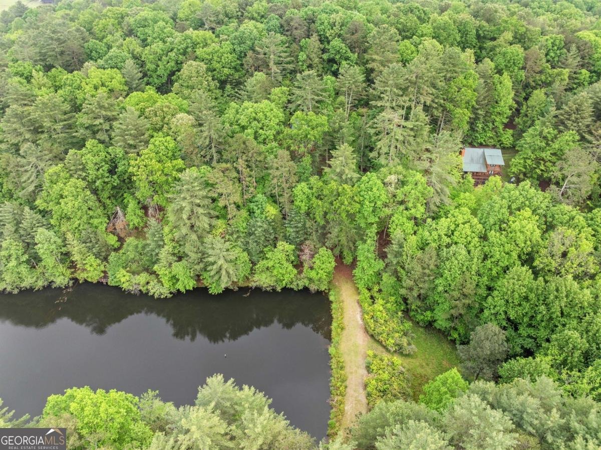 168 Spring Lake Drive Ellijay - 40