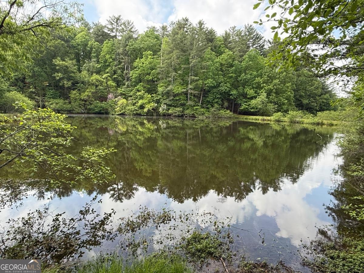 168 Spring Lake Drive Ellijay - 45