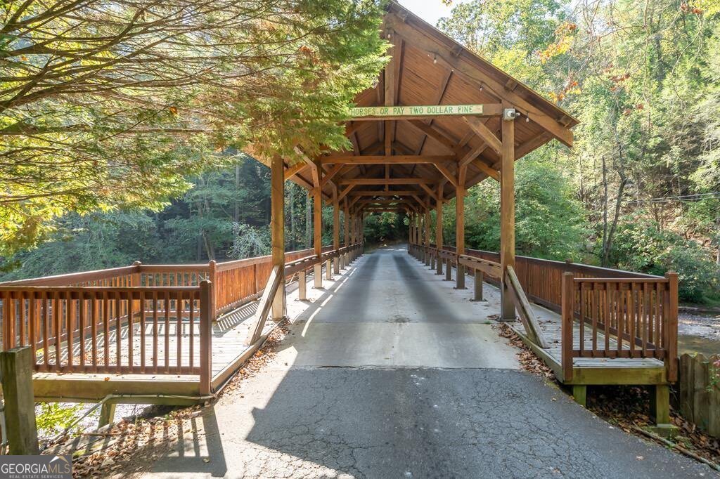 168 Spring Lake Drive Ellijay - 46