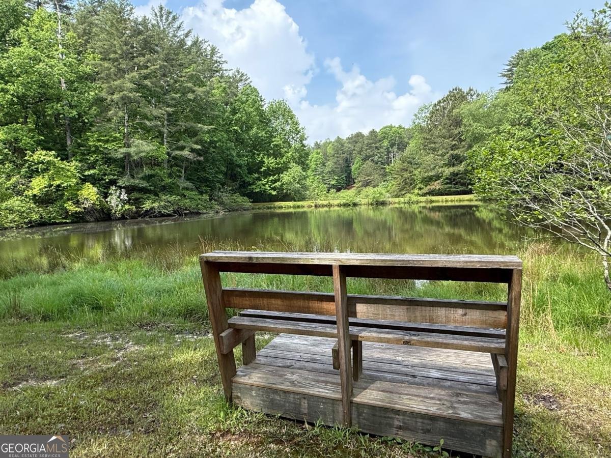 168 Spring Lake Drive Ellijay - 51