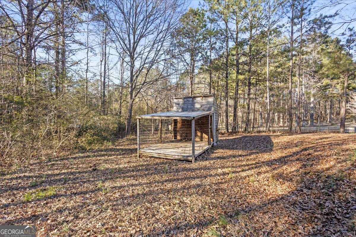 916 Marshall Fuller Road Dallas - 10