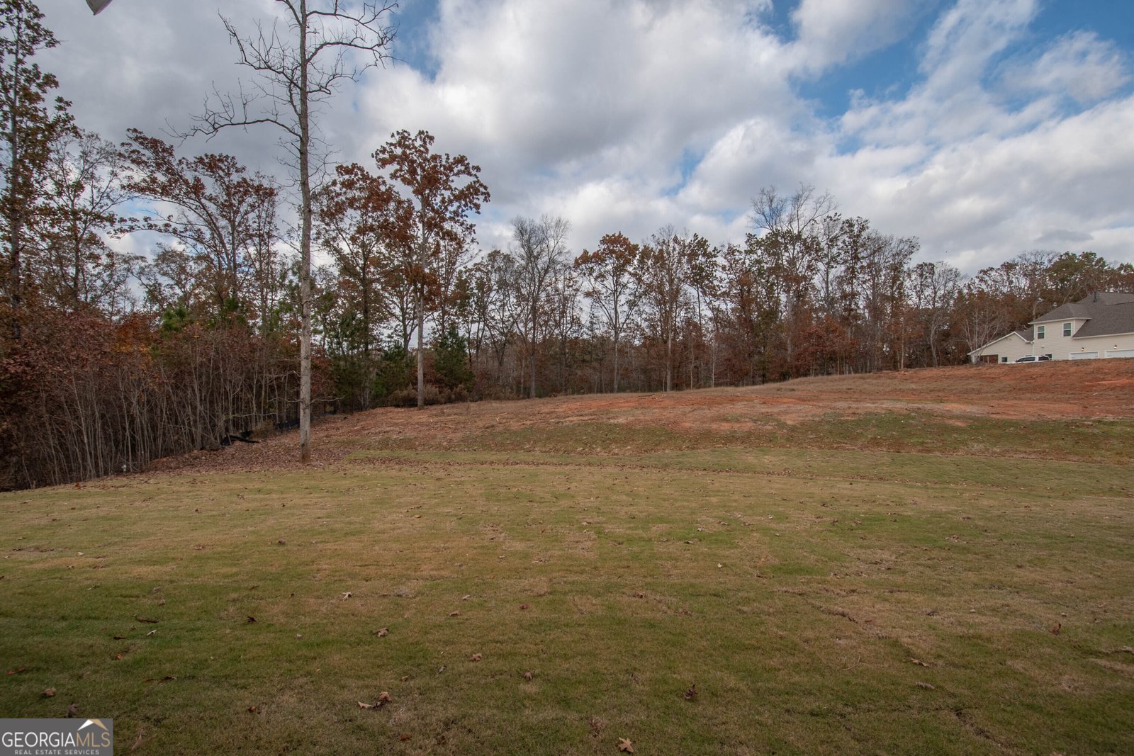 127 Atlantica Drive Newnan - 46