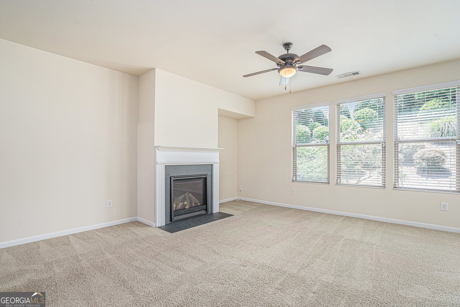 252 Stone Park Drive Woodstock - 10