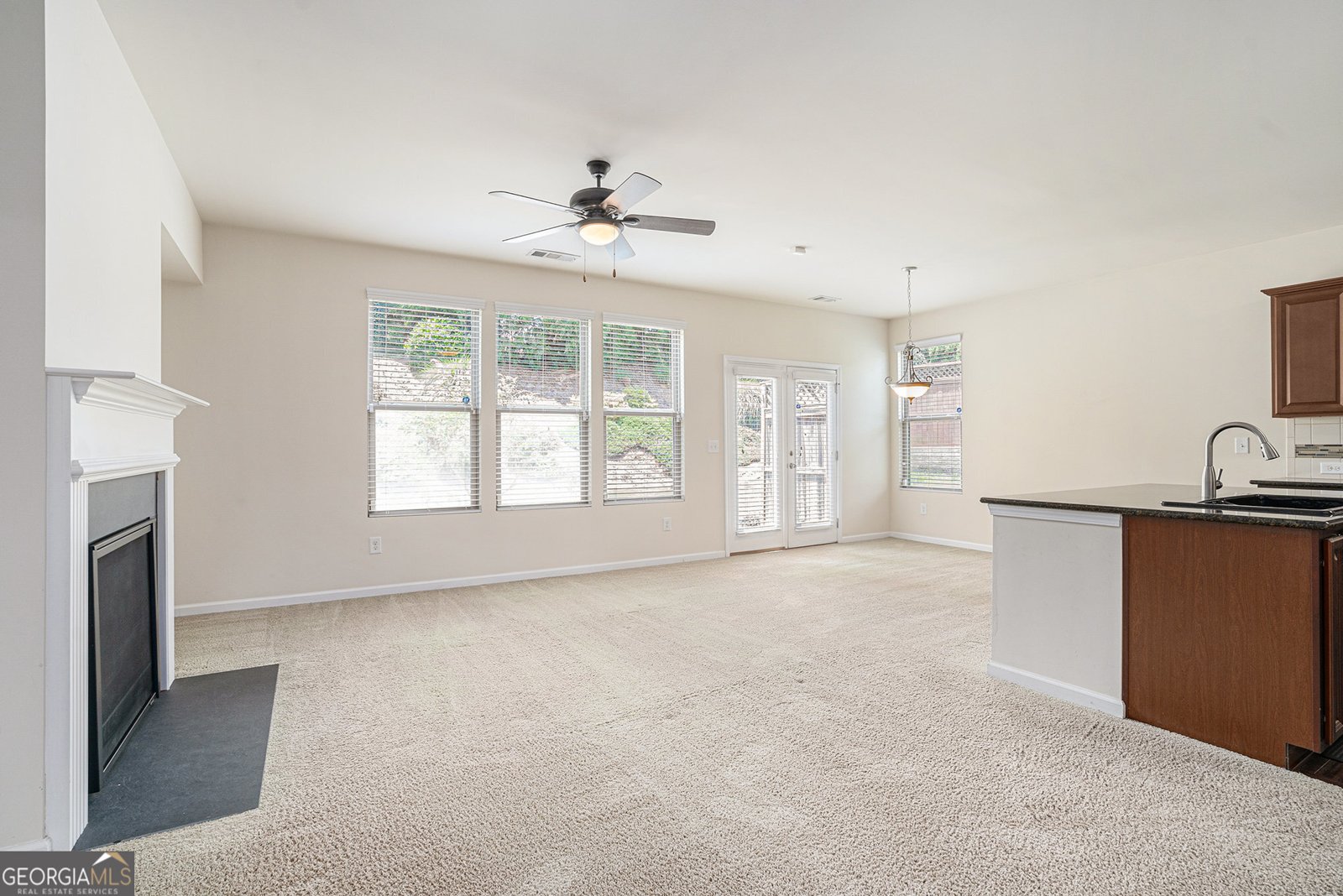 252 Stone Park Drive Woodstock - 9