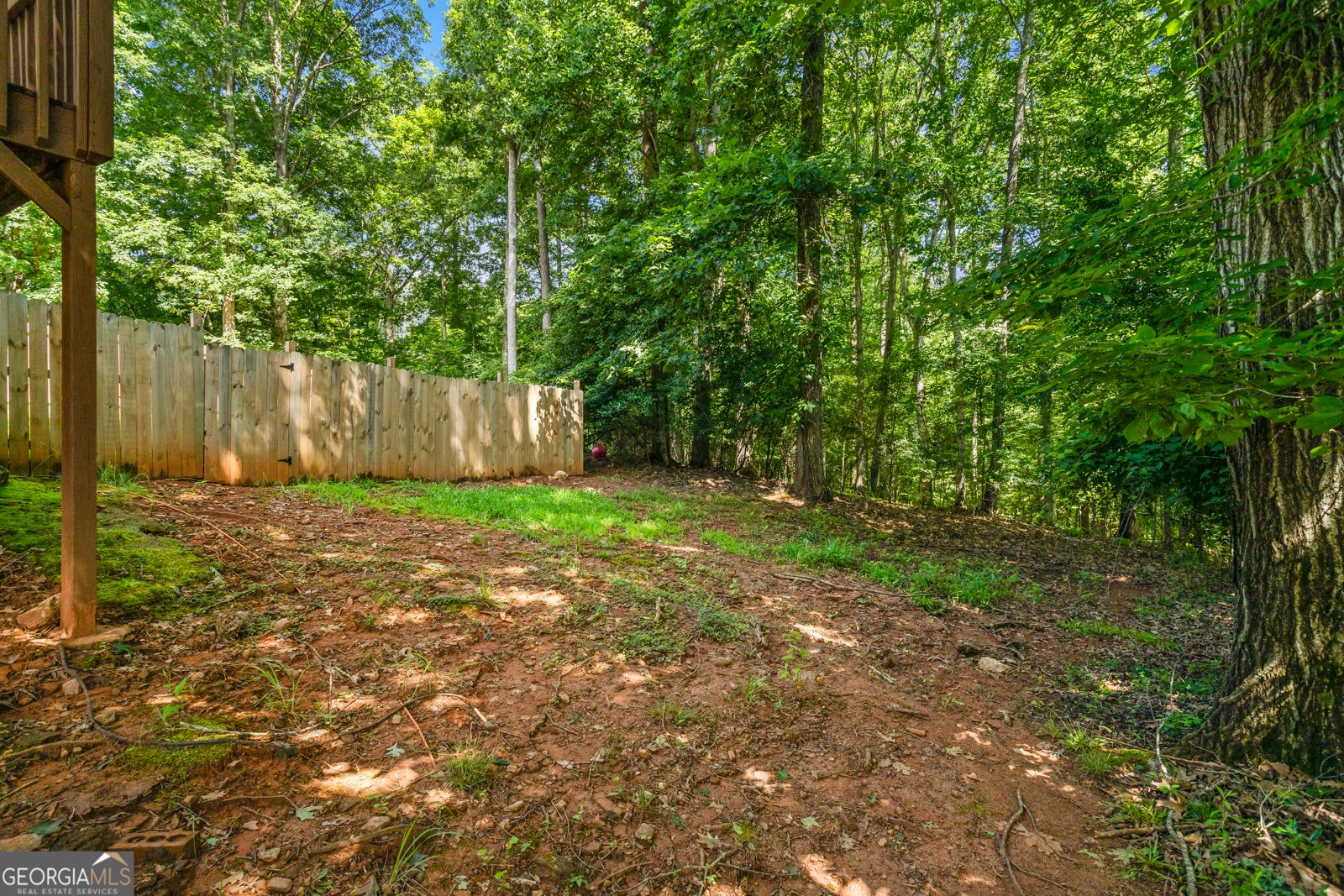 1048 Falls Brooke Drive Conyers - 2