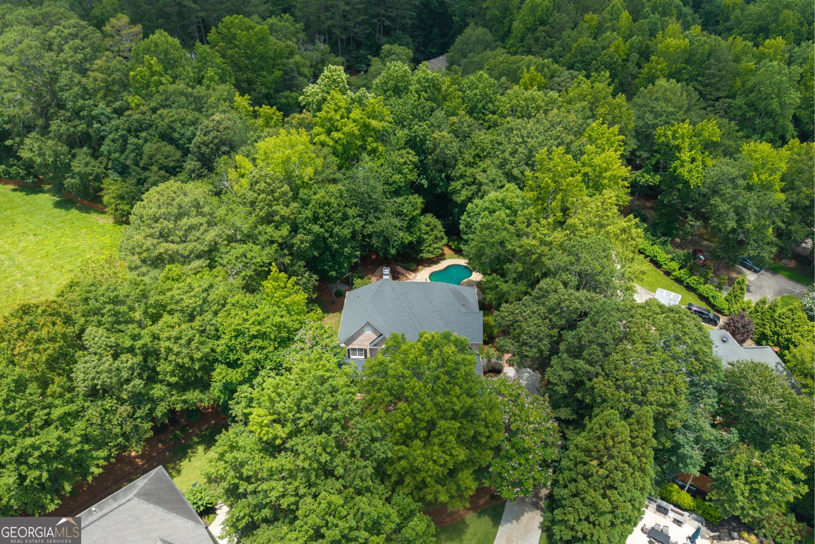 1650 Harvest Lane Alpharetta - 1