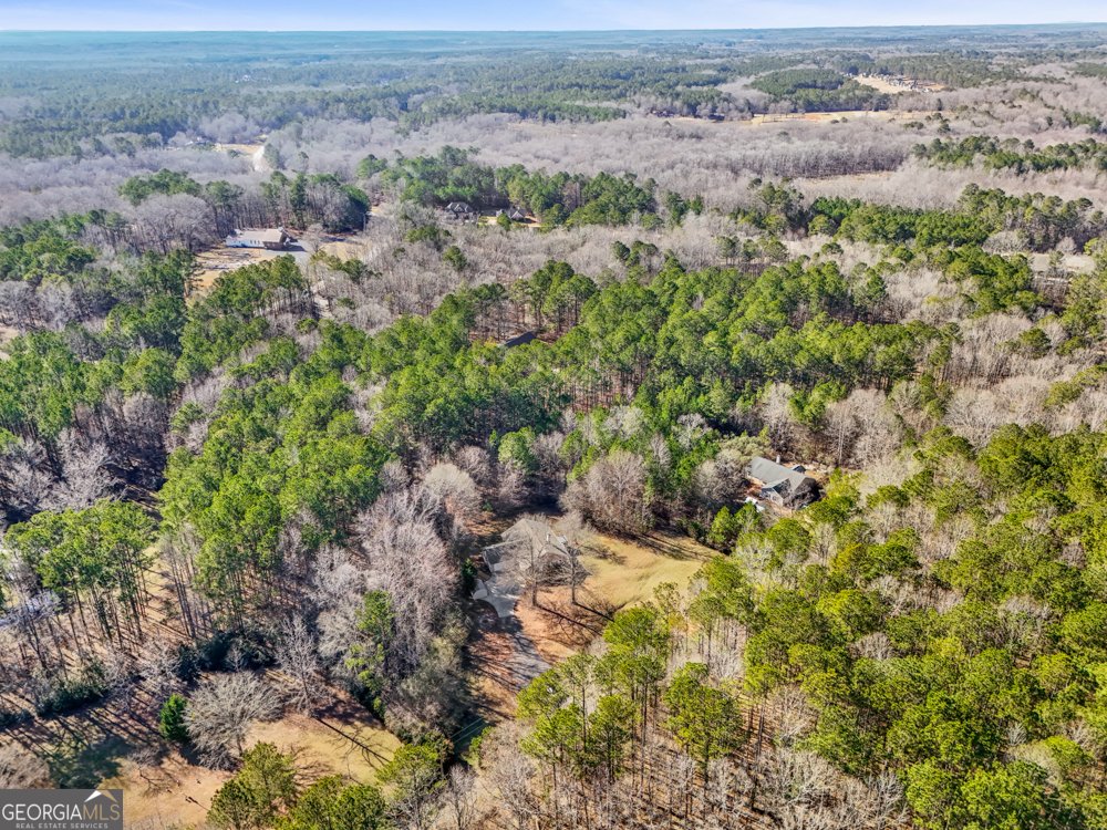2551 Luther Bailey Road Senoia - 2